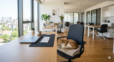 Gebäudereinigung Offenburg